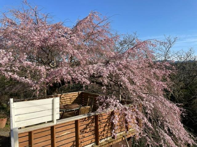 Houtouji Temple Bed & Breakfast Yoshino  Luaran gambar